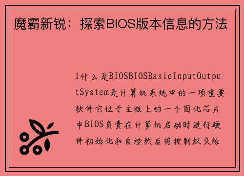 魔霸新锐：探索BIOS版本信息的方法